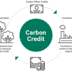 Financial Role of Carbon Credits