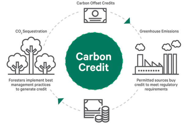 Financial Role of Carbon Credits