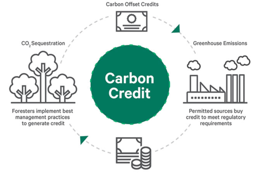 Financial Role of Carbon Credits